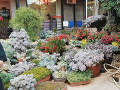 -山菌美食苑(振兴路店)