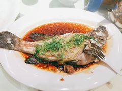 清蒸石斑鱼-海儀美食楼(湾仔海鲜街店)