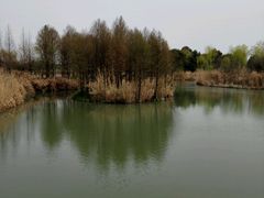 -梁鸿国家湿地公园