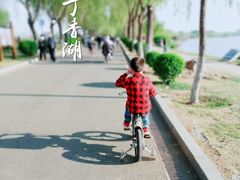 -丁香湖公园