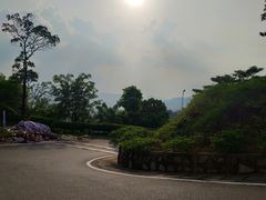 -火炉山森林公园