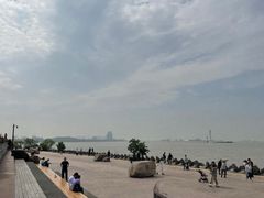 -上海滨江森林公园