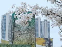 -龙美术馆(西岸馆)