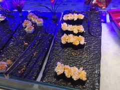 -万象·复兴号鲜肉烤肉海鲜自助(升级店)