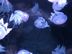 -欢乐海岸海洋奇梦馆