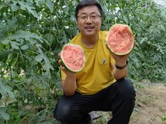-西瓜小镇