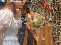 -循礼门鲜花花市(武汉循礼门店)