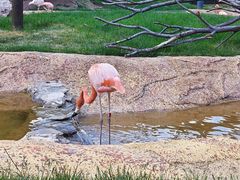 -沈阳森林动物园