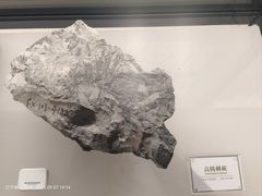 -辽宁古生物博物馆