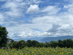-云禾壹海景庄园餐厅
