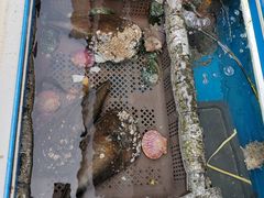 -真情鲍鱼海鲜汤