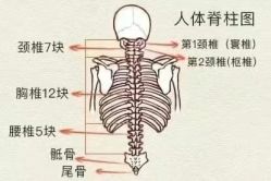 -名发世家烫染