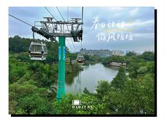 -广州长隆野生动物世界
