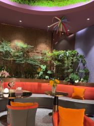 -花隐·美芙炫海菲秀皮肤管理中心