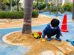 -宝安西湾红树林湿地公园