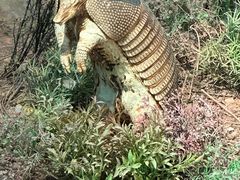 -浙江自然博物院(杭州馆)