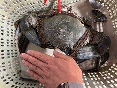 -龙海鲜螃蟹王(宏茂桥店)