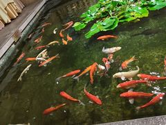 -惠食佳(滨江大公馆店)