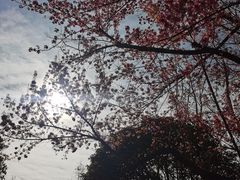 -月牙潭公园