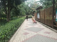 -黄村公园