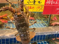 -骏莱海鲜鱼港(五角场店)