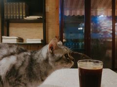美式-隅cafe(傅厚岗店)