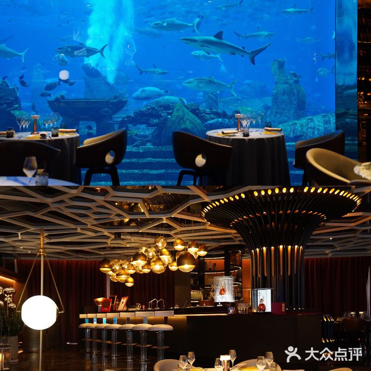 三亚亚特兰蒂斯奥西亚诺海底餐厅| 沉浸式用餐体验
