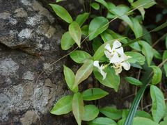 -宁波五龙潭景区