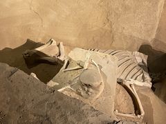 -洛阳周王城天子驾六博物馆