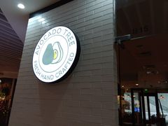 -油梨树 AVOCADO TREE(亮马桥店)