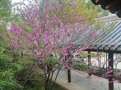 -庐山风景名胜区-东林大佛