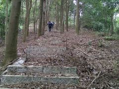 -秦岭天竺山景区