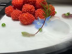 -杏花村水席楼·洛阳水席(老城十字街店)