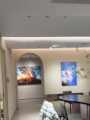 -大树儿童摄影