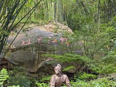 -铁山坪森林公园