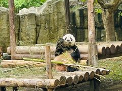 -上海野生动物园