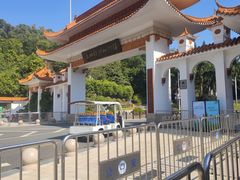 -深圳仙湖植物园
