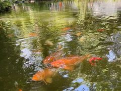 -成都杜甫草堂博物馆