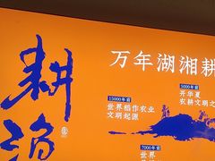 -耕渔小院·湖南鱼鲜(望城店)