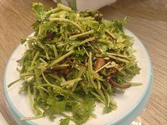 茶树菇芹菜-蓬莱利华酒店(密汾南街店)