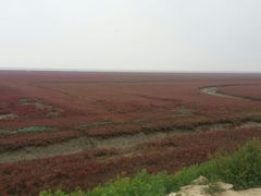 -红海滩国家风景廊道