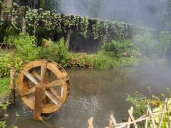 -中国科学院西双版纳热带植物园