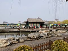 -莲花池公园
