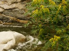 -黑河国家森林公园