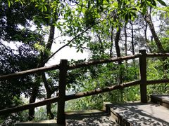 -铁山坪森林公园