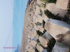 -张坝桂圆林公园