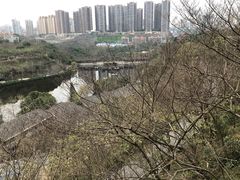 -重庆彩云湖湿地公园