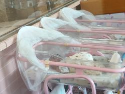 -国际月月生母婴月子中心(旗舰店)