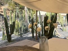 -MOJ coffee(瓯海泽雅水碓坑店)