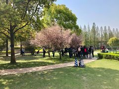 -复旦大学光华楼